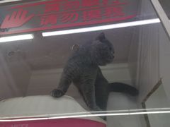 -大学城夜市大排档(凤栖路店)