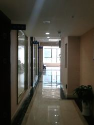 -碧莲盛·不剃发植发