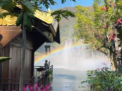 -西双版纳原始森林公园