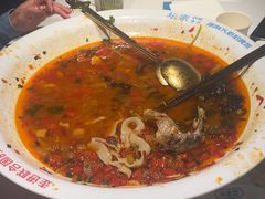 -坛宗剁椒鱼头(河西王府井店)