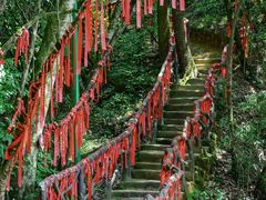 -光雾山旅游景区