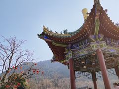 -华清宫景区