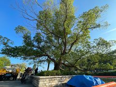 -东钱湖旅游度假区