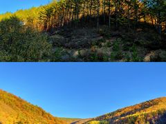 -塞罕坝国家级自然保护区