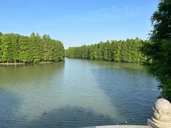 -上海海湾国家森林公园