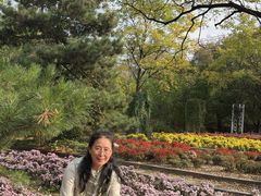 -黑龙江省森林植物园