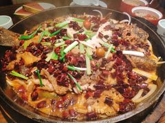 老板恋上鱼-老板恋上鱼(荣盛广场店)