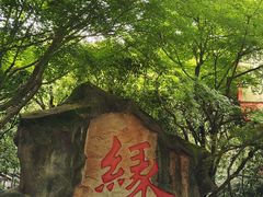 -杭州黄龙洞
