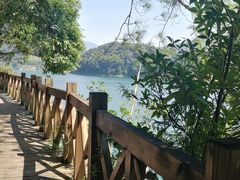 -广州市流溪河国家森林公园