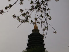 -常州天宁禅寺