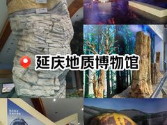 -延庆地质公园博物馆