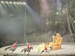 -广州长隆国际大马戏