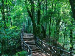 -凤栖山