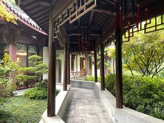 -十八棵（老龙井）御茶园(老龙井店)