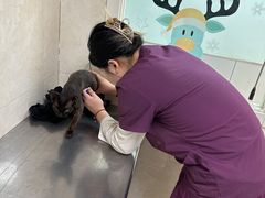 -酷宠动物医院(天通西苑店)