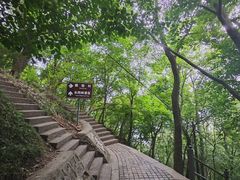 -紫金山山顶公园