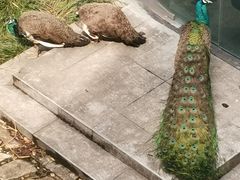 -苏州环秀晓筑养生度假村
