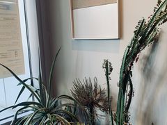 -dotcom coffee古点咖啡(致真大厦店)