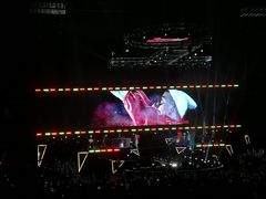 -南京奥林匹克体育中心-体育馆