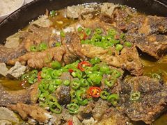 -老板恋上鱼(高新万达店)