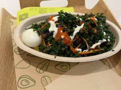 -油梨树 AVOCADO TREE(亮马桥店)