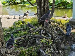 -鹤冈八幡宫