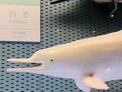 -浙江自然博物院(杭州馆)