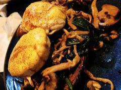 班尼迪克-JamaicaBlue(新城国际店)