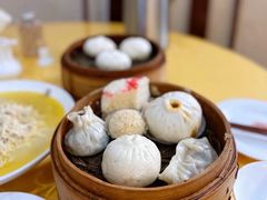 -富春茶社(国庆路店)