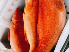 -海峡水产品交易中心(海鲜交易区)