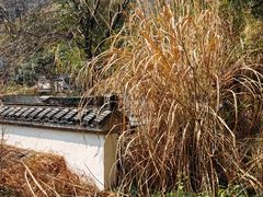 -梦姑塘文化公园