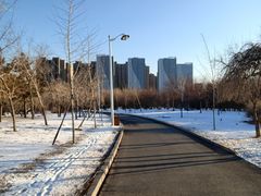 -长春公园(普阳街道)