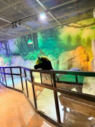 -酷嗒动物文化乐园(cutezoo西溪乐天城店)