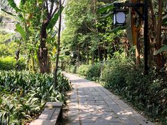 -成都市活水公园