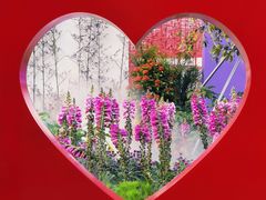 -海心沙亚运公园