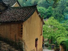 -杨家堂村