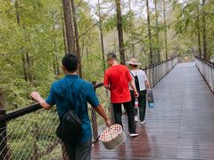 -黄海国家森林公园