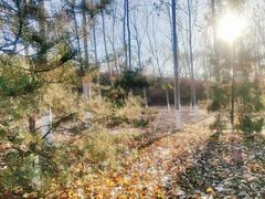 -永定河休闲森林公园