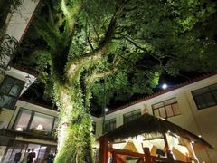 -普陀山雷迪森庄园