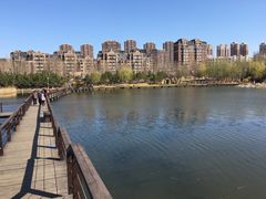 -前关湿地公园