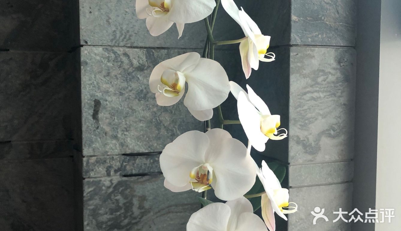 酒店也的确吸引了很多十八线小网红模样的妹子