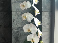 -上海外滩悦榕庄酒店