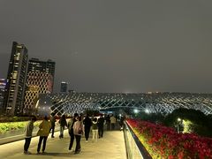 -华润深圳湾体育中心-“春茧” 体育馆