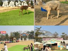 -盈香心动乐园