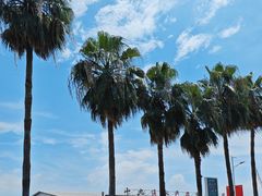 -南沙十九涌渔人码头-南门