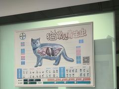 -半岛宠物医院24小时(科华中路店)