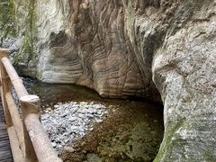 -牛背梁国家森林公园