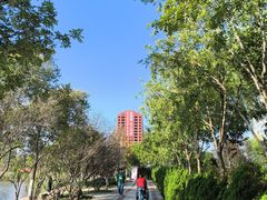 -南翠屏公园