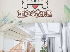 -星多哈·狗咖·拼豆·咖啡
