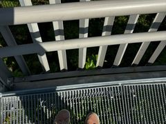 -福道